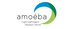 Amoéba