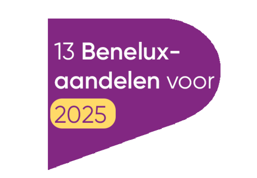 13 aandelen voor 2025